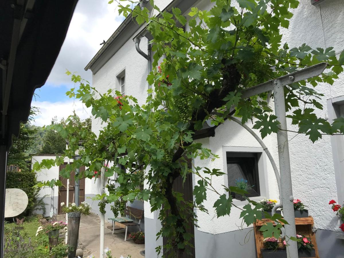 Ferienwohnung Lahnmuendung Lahnstein Buitenkant foto