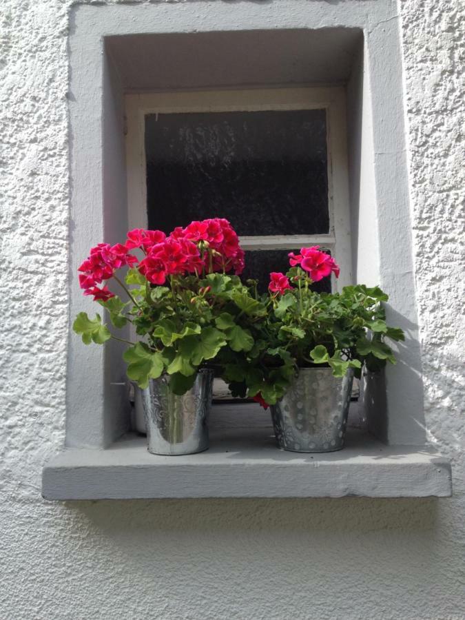 Ferienwohnung Lahnmuendung Lahnstein Buitenkant foto